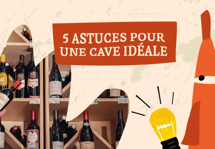 Des bouteilles de vin sur des étagères, avec une bulle de dialogue "5 astuces pour une cave idéale". Un tableau millésime vin.