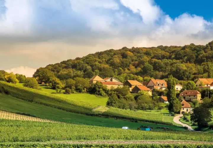 Paysage bucolique avec vignobles en terrasses menant à un hameau pittoresque, évoquant le charme du domaine Roumier.