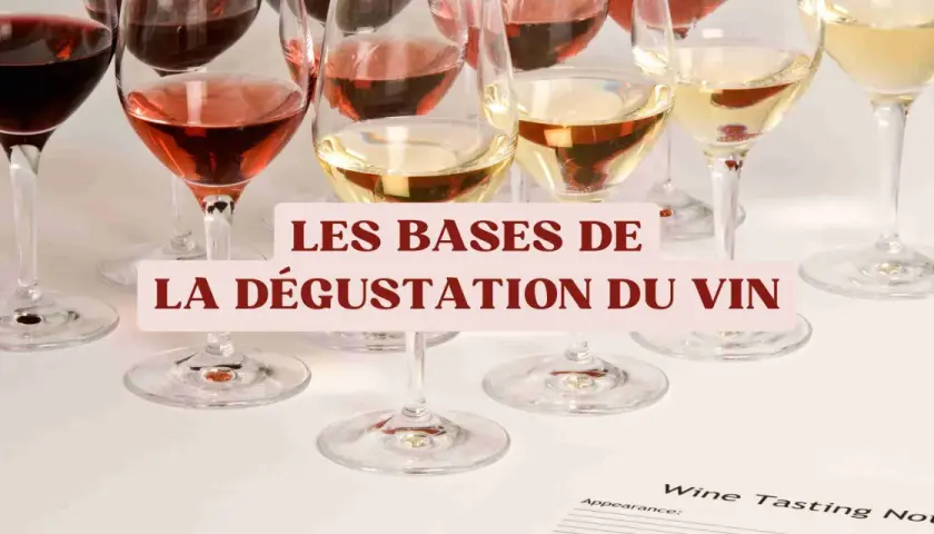 Verres de vin rouge, rosé et blanc alignés, prêts pour une dégustation. Les bases du vin expliquées.