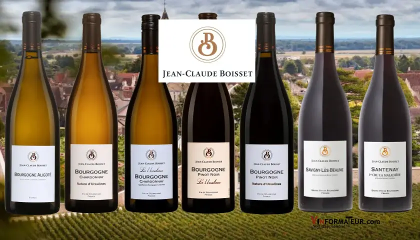 Six bouteilles de vin de Bourgogne, dont des Pinot Noir et Chardonnay, signées Jean-Claude Boisset, sur fond de vignoble.