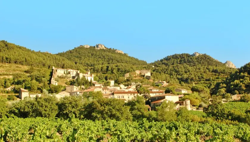 Vue d'un village pittoresque niché sur une colline boisée, avec des vignes au premier plan. Le domaine des bosquets semble paisible sous un ciel bleu clair.