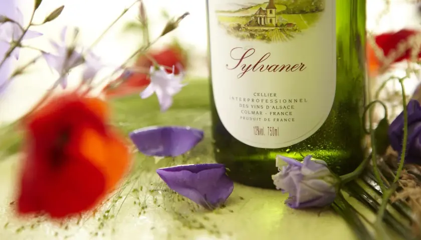 Bouteille de Sylvaner, le meilleur vin d'Alsace, entourée de coquelicots et de fleurs bleues.