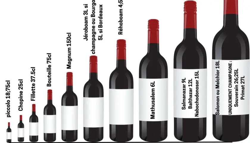 Illustration de bouteilles de vin de différentes tailles, du piccolo au Primat, pour apprendre à lire une étiquette de vin.