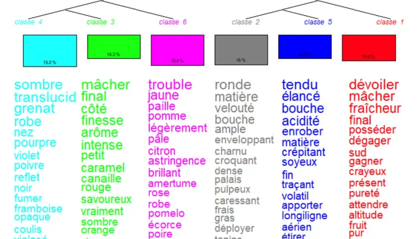 Arbre de classification des vins, avec des mots décrivant la couleur, l'arôme et la texture. La densité du vin rouge est évoquée par des termes comme "sombre", "grenat", "pourpre", "noir", "fumer", "framboise", "opaque", "coulis", "violacé", "confiture...