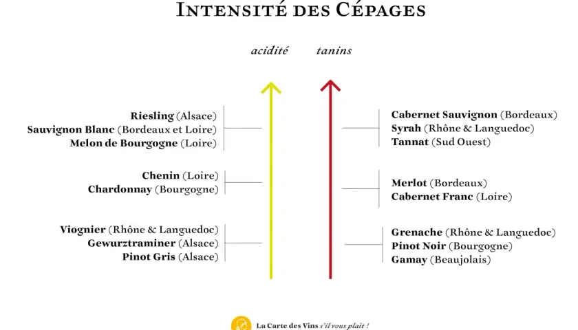 Graphique comparant l'acidité et les tanins de divers cépages, dont le Pinot Noir de Bourgogne.