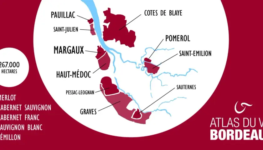 Carte illustrant la classification des vins de Bordeaux, avec les appellations comme Pauillac, Margaux, Pomerol, et les cépages principaux.