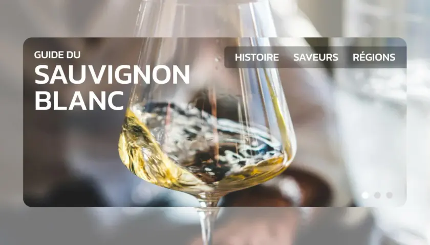 Un verre de vin blanc tourbillonne, promesse du meilleur vin blanc au monde. Guide du Sauvignon Blanc.