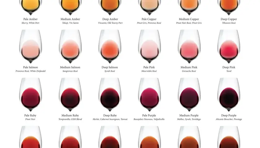 Tableau comparatif des couleurs de vins. Le Pinot Noir Rosé présente une couleur cuivrée moyenne, une nuance parmi d'autres.