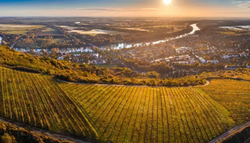 Vignoble doré baigné par le soleil, avec un village et une rivière en arrière-plan. Un paysage typique pour un vin hongrois.