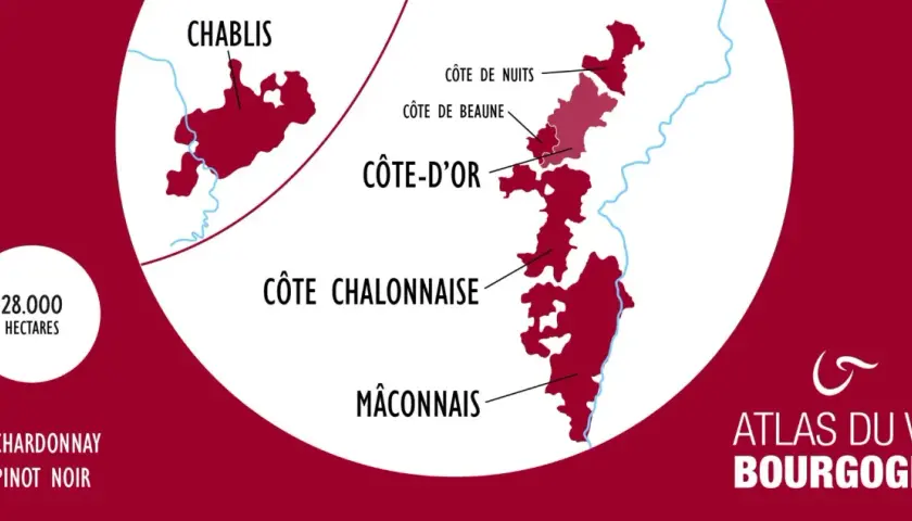 Carte des vignobles de Bourgogne, montrant Chablis, Côte d'Or, Côte Chalonnaise et Mâconnais. Le Chardonnay est roi pour le vin de Bourgogne blanc.