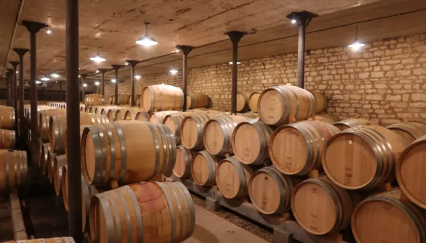 Cave à vin de Jacques Prieur, remplie de fûts en bois empilés, prêts à vieillir le vin.