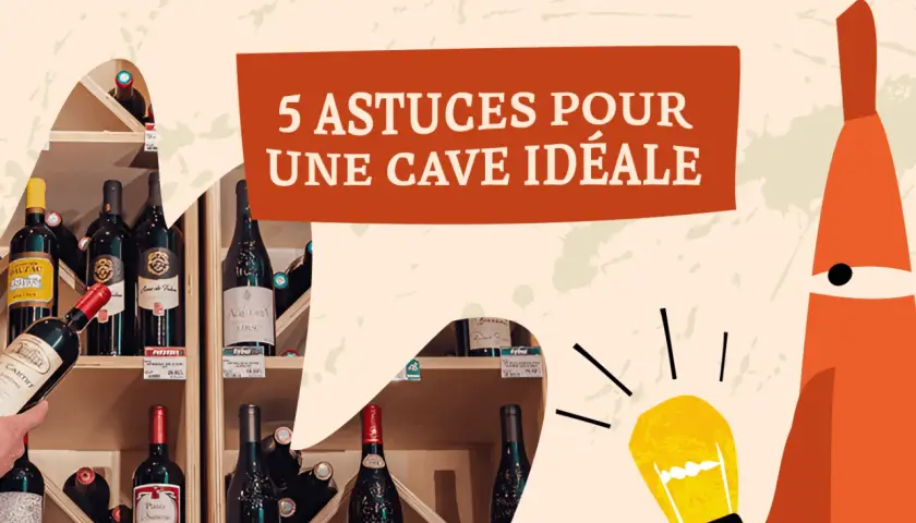 Des bouteilles de vin sur des étagères, avec une bulle de dialogue "5 astuces pour une cave idéale". Un tableau millésime vin.
