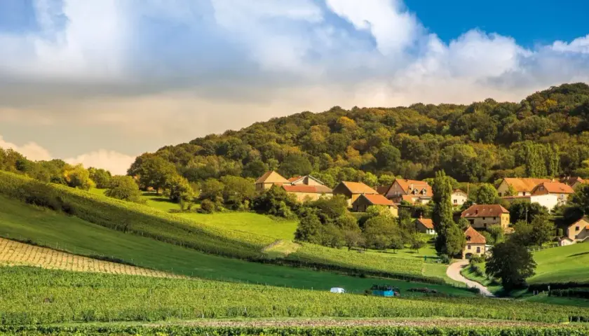 Paysage bucolique avec vignobles en terrasses menant à un hameau pittoresque, évoquant le charme du domaine Roumier.