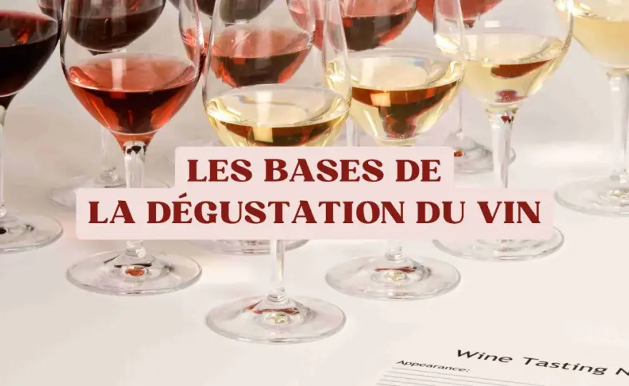 Bases du vin - Dégustation facile pour mieux choisir