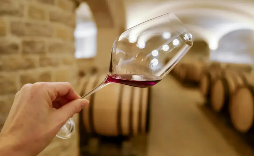 Choisir un vin de Bourgogne - Le guide ultime