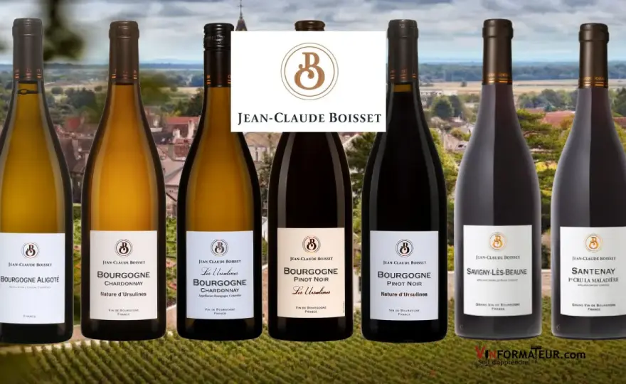 Jean-Claude Boisset - Comprendre les terroirs de Bourgogne
