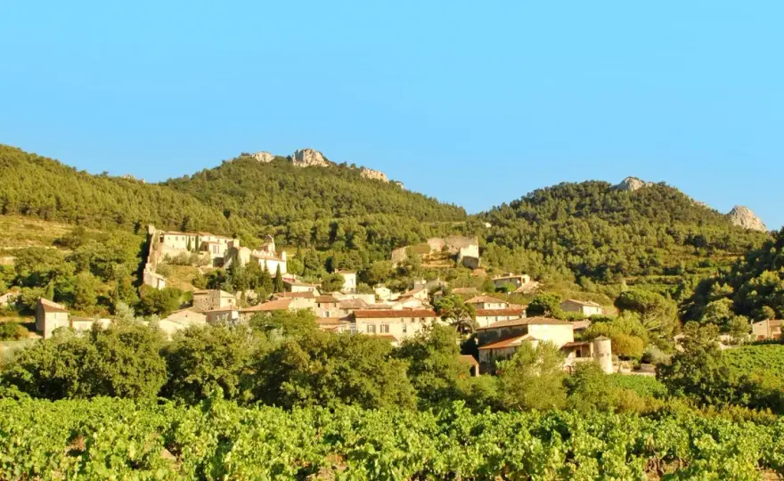 Gigondas - Le secret des terroirs du Domaine des Bosquets