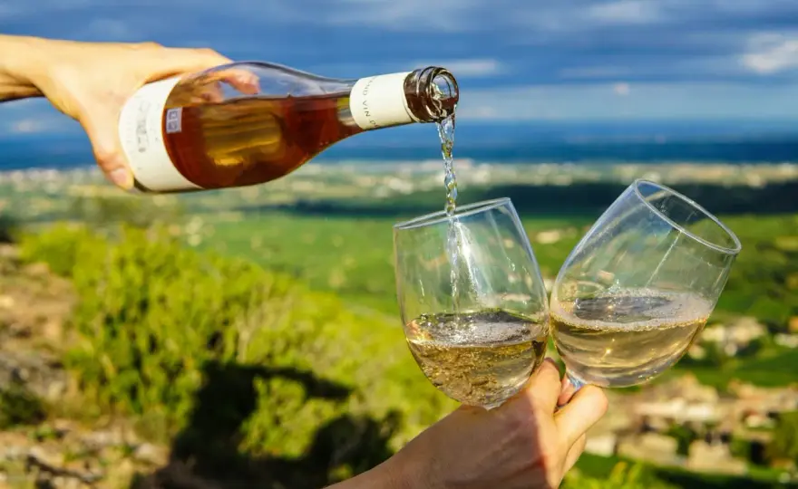 Meilleurs vins de Collioure - Le guide pour bien choisir