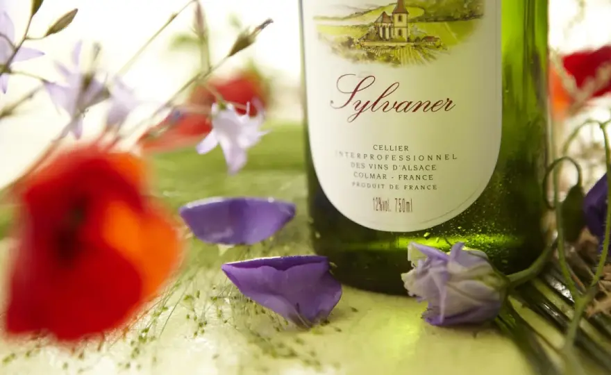 Vin d'Alsace - Le guide pour bien choisir et acheter