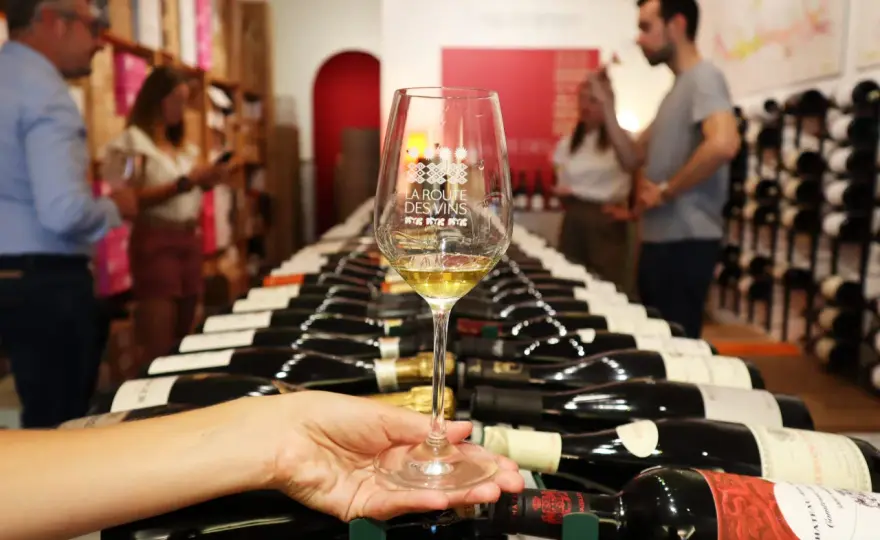 Les Clos Vivants à Dijon - Lire le vignoble bourguignon