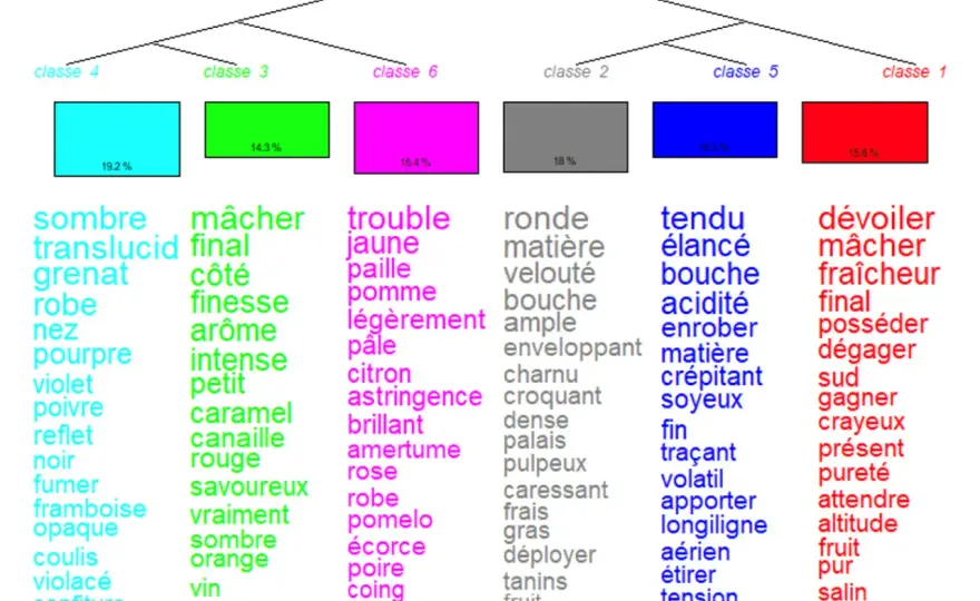 Densité du vin rouge - Comprendre et interpréter