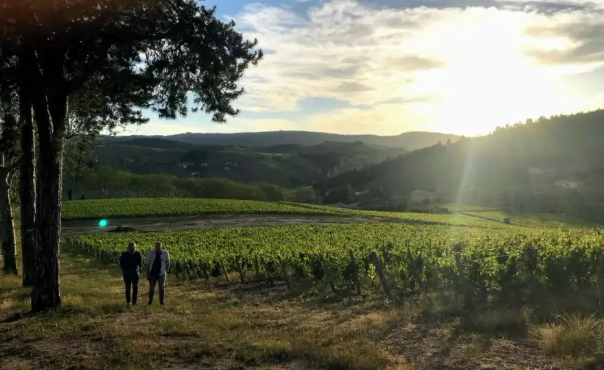 Château de Poncié - Le Fleurie qui révèle ses terroirs