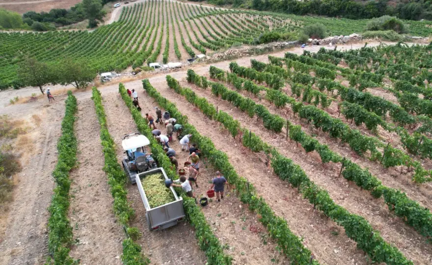 Vignoble Patrimonio - Comprendre le terroir corse