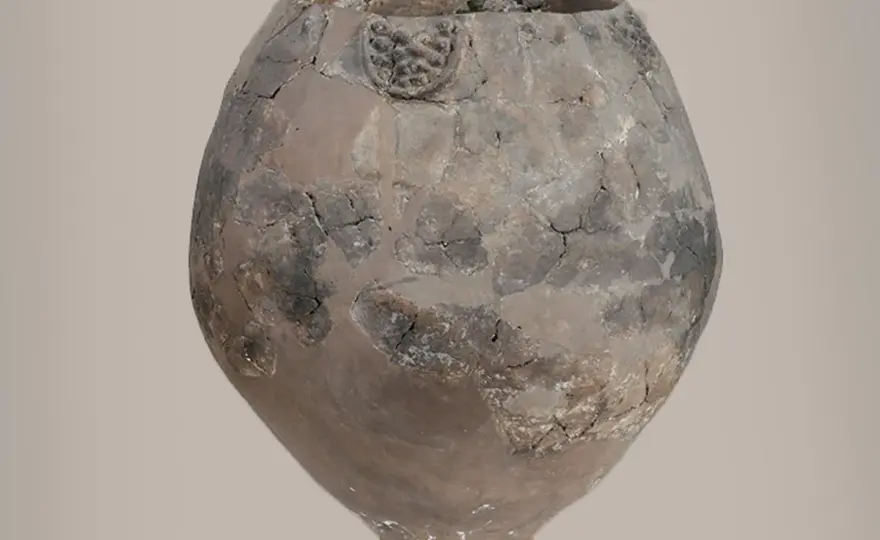 Origine du vin - Le Caucase et l'Iran changent tout !