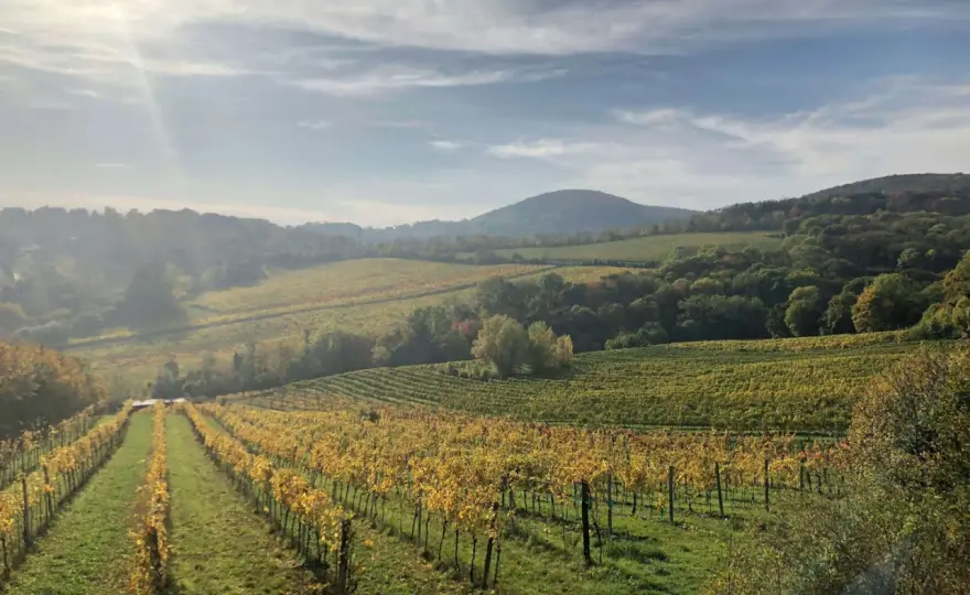 Domaine des Entrefaux - Comprendre Crozes-Hermitage