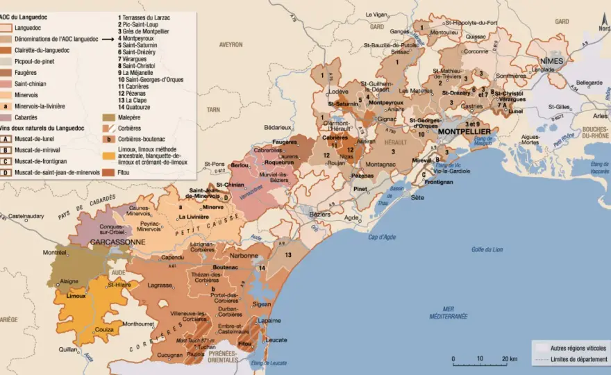 Castel en Languedoc - Le guide pour bien choisir son vin