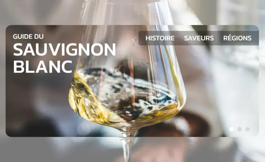 Meilleur Vin Blanc au Monde - Guide d'Achat Intelligent