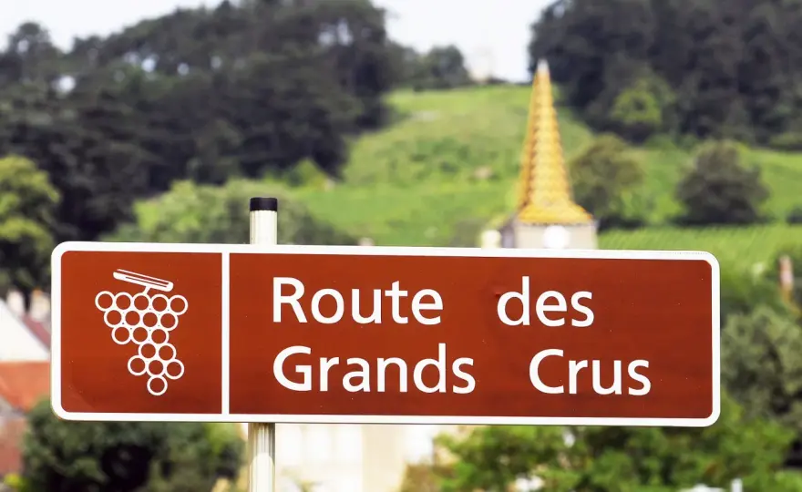 Grands rouges de Bourgogne - Choisir, acheter, conserver