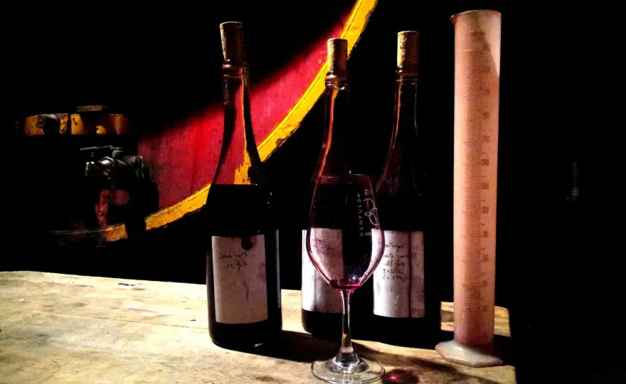 Domaine de la Rectorie - Comprendre Banyuls et choisir son vin