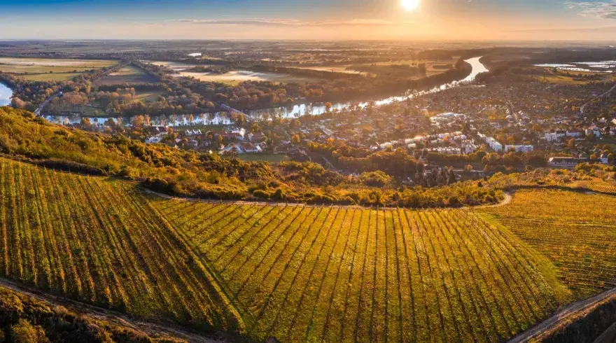 Vins hongrois - Au-delà de Tokaj, le guide complet
