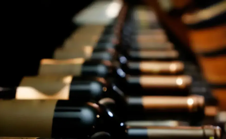 Meilleurs Vins du Roussillon - Le Guide Essentiel pour Bien Choisir