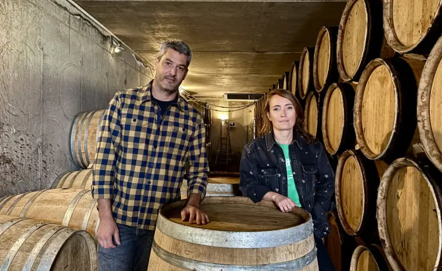 Domaine Bott - La lecture essentielle du Rhône nord