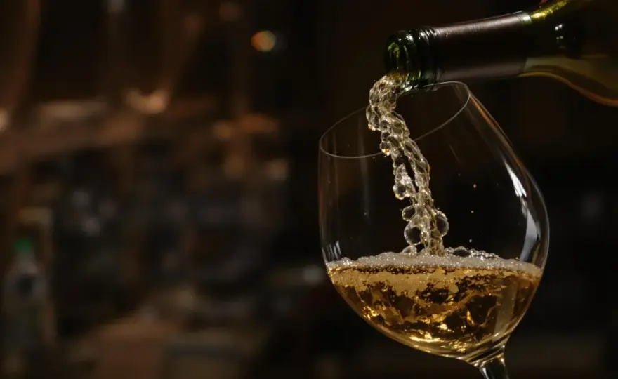 Vin nature - Le guide complet pour le comprendre et le choisir