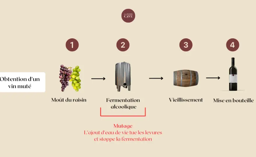 Vins mutés - Le guide complet pour bien les choisir