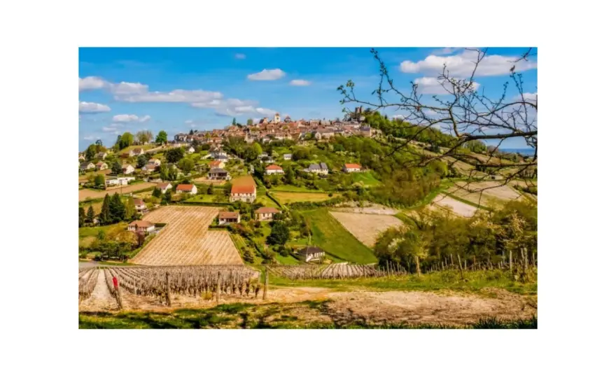 Sancerre - Le guide complet des terroirs et des vins