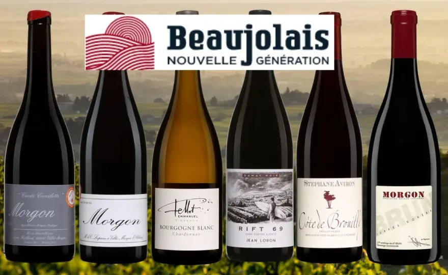 Jean Foillard - Comprendre le Beaujolais sans se perdre