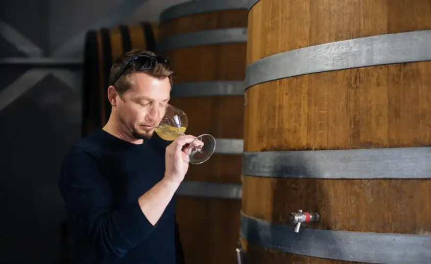 Chardonnay - Le guide complet pour tout comprendre