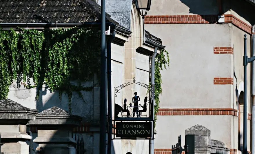 Domaine Chanson Beaune - Votre guide pour comprendre la Bourgogne
