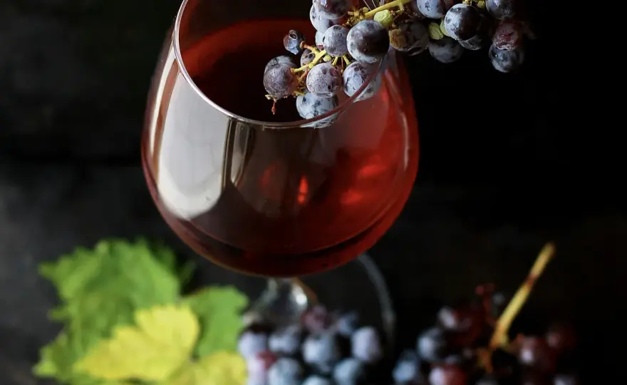 Beaujolais Nouveau - Combien de temps le garder et bien le boire?