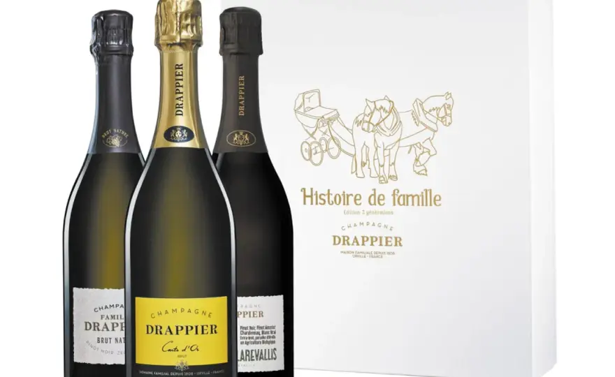 Champagne Drappier - Guide complet pour bien choisir et garder