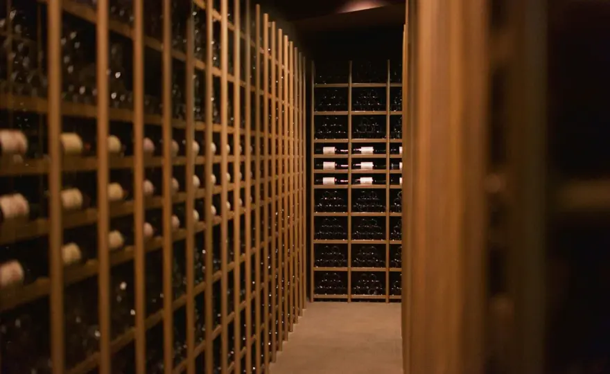 Vins de garde - Quels cépages vieillissent 20 ans et plus ?