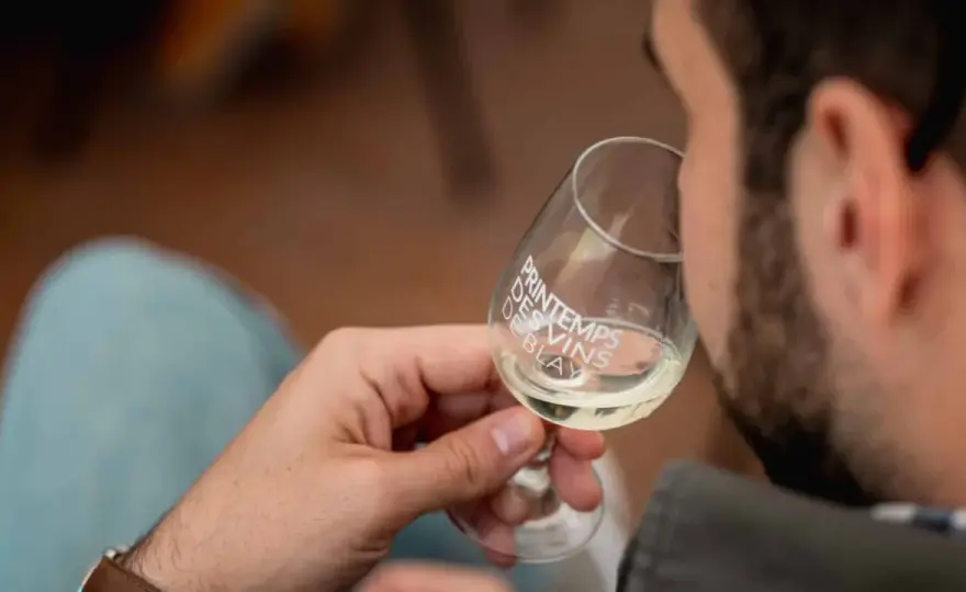 Vins de Blaye Côtes de Bordeaux - Maîtrisez la dégustation!