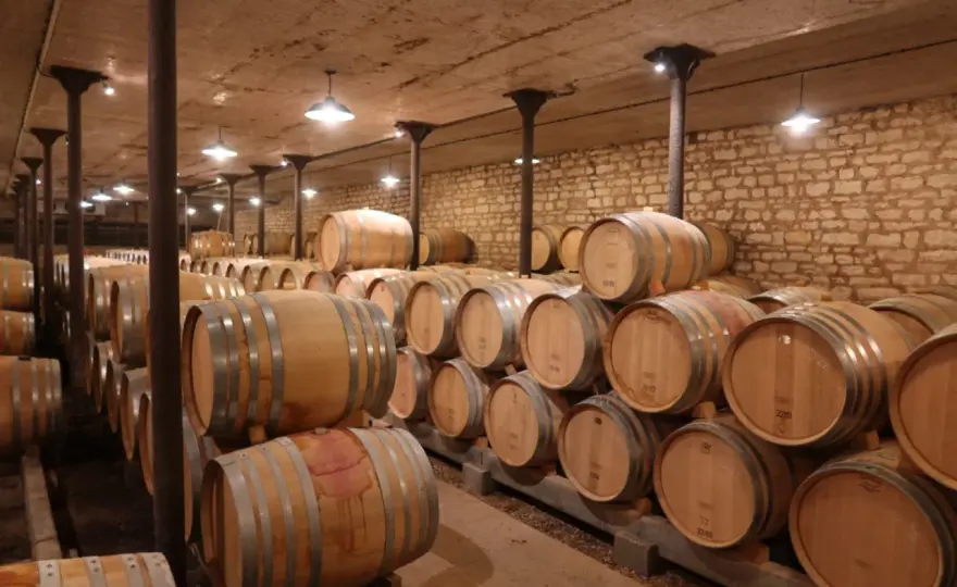 Domaine Jacques Prieur - Comprendre Meursault et ses terroirs