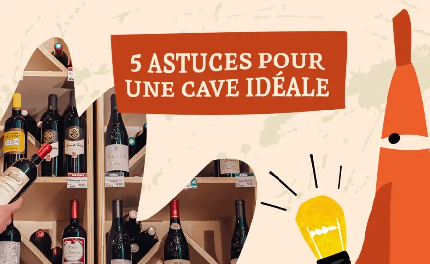 Millésime vin - Comment bien lire et choisir pour votre cave ?