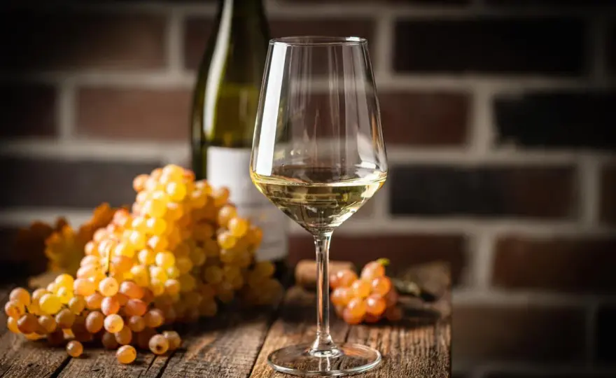 Chardonnay sec - Comprendre ce vin blanc populaire