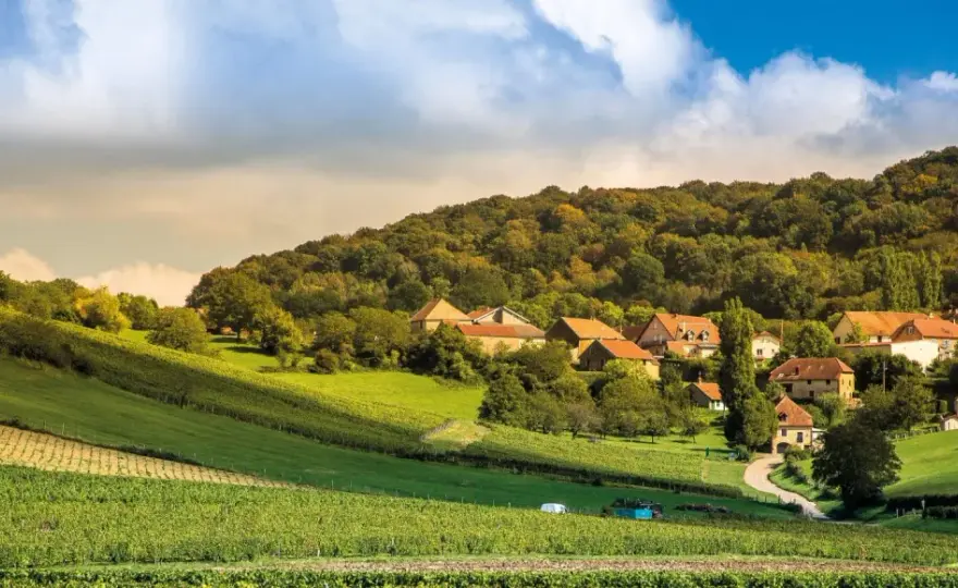 Domaine Roumier - Le guide pour comprendre et choisir ses vins
